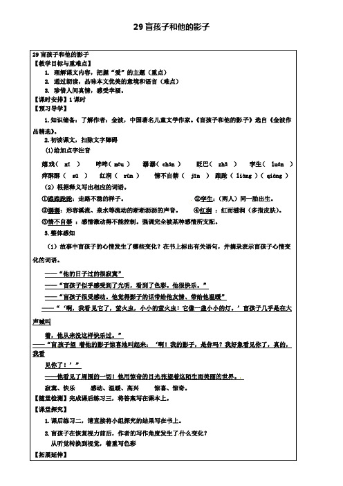 七年级语文上册 第29课《盲孩子和他的影子》教学案