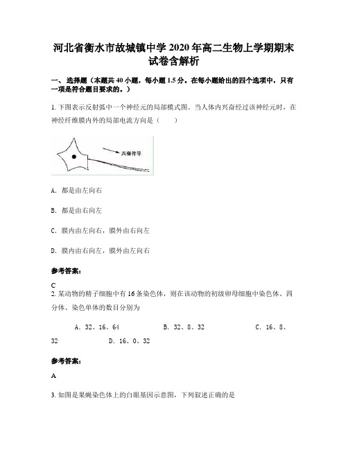 河北省衡水市故城镇中学2020年高二生物上学期期末试卷含解析