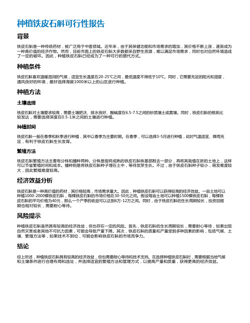 种植铁皮石斛可行性报告