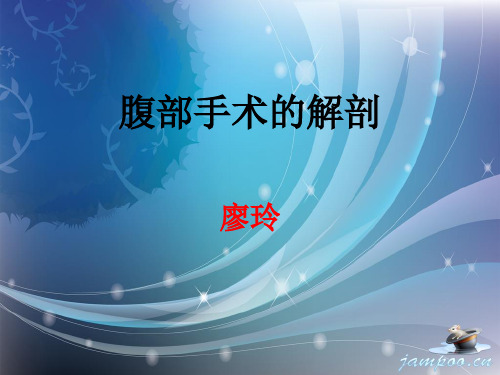 腹部手术的解剖