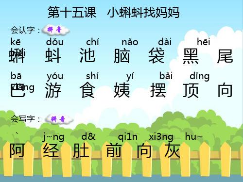 15 小蝌蚪找妈妈_生字词学习