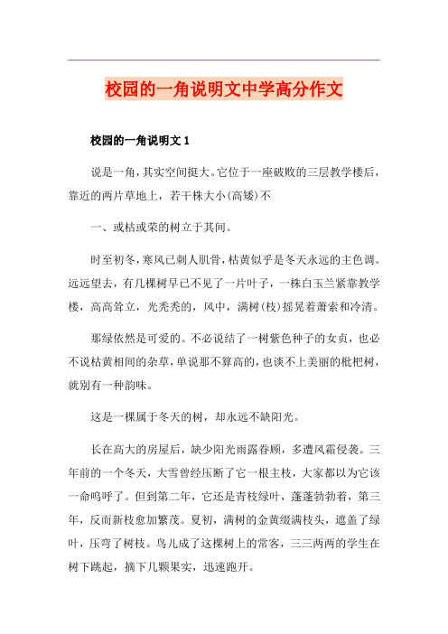 校园的一角说明文中学高分作文