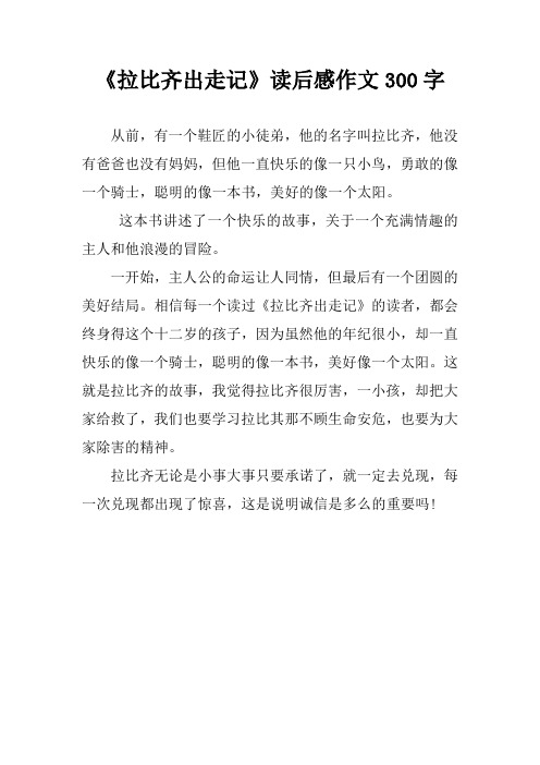 《拉比齐出走记》读后感作文300字