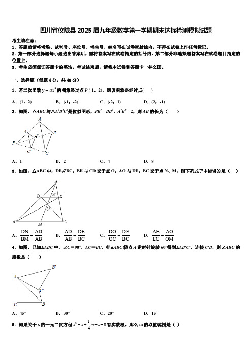 四川省仪陇县2025届九年级数学第一学期期末达标检测模拟试题含解析