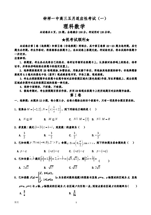 湖北省钟祥一中高三五月适应性考试(一)数学理试题