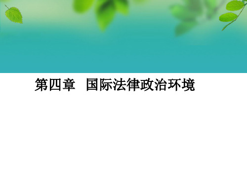 国际法律政治环境详述(ppt 34页)