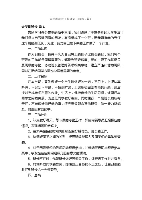 大学副班长工作计划（精选6篇）