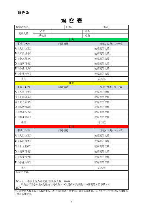 安全行为指数检查表样本