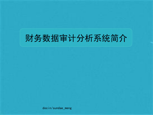 财务数据审计分析系统简介ppt课件(共6张PPT)