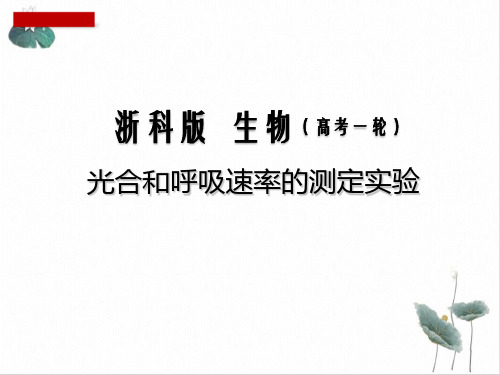 光合作用光合和呼吸速率的测定实验浙江高考生物一轮复习PPT课件(原文)(浙科)