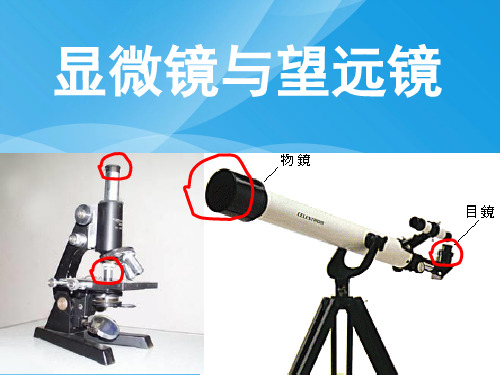 显微镜与望远镜ppt1 人教版优质课件优质课件