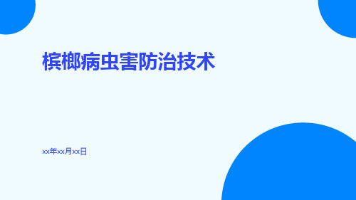 槟榔病虫害防治技术