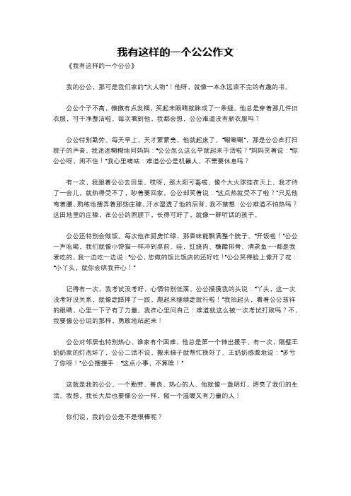 我有这样的一个公公作文