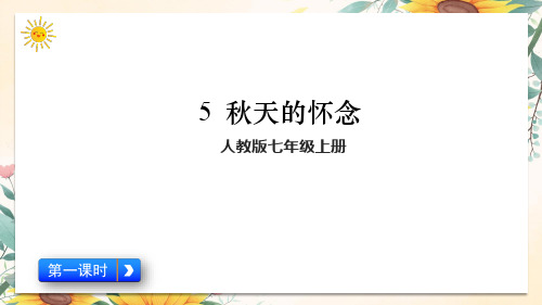 人教版-七年级-语文(上)第二单元5《秋天的怀念》