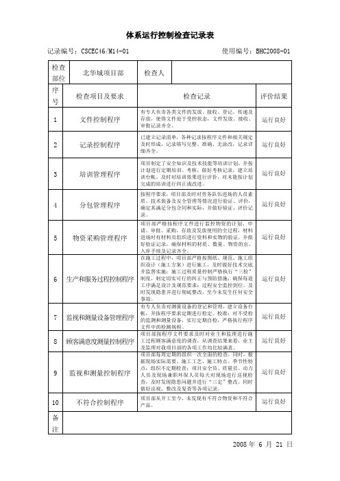 体系运行控制检查记录表