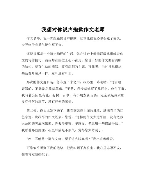 我想对你说声抱歉作文老师