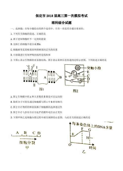 河北省保定届高三第一次模拟考试理综试卷(含答案)