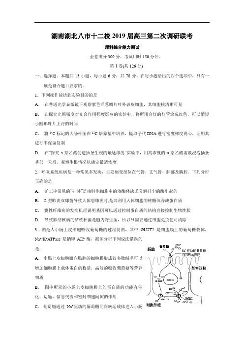 湖南湖北八市十二校2019届高三第二次调研联考生物试题(解析版)