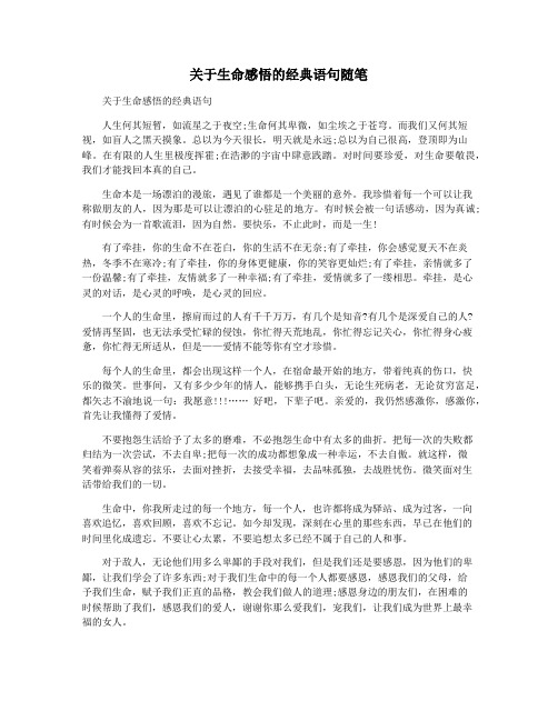 关于生命感悟的经典语句随笔