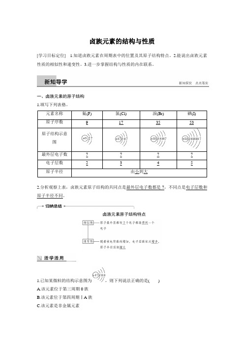 高一化学人教版卤族元素的结构与性质