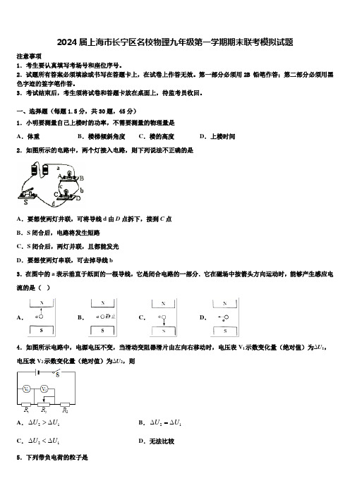 2024届上海市长宁区名校物理九年级第一学期期末联考模拟试题含解析