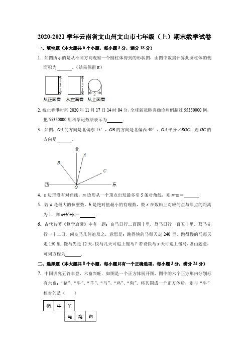 云南省文山州文山市2020-2021学年上学期期末考试七年级 数学试卷  解析版