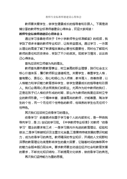 教师专业标准师德建设心得体会