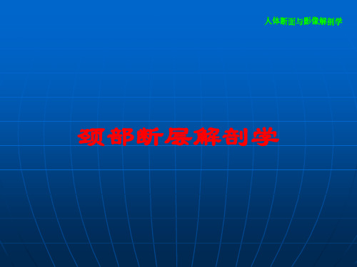 颈部断层解剖学培训课件