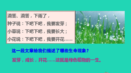 七年级生物上册第三单元生物圈中的绿色植物第二章被子植物的一生第一节种子的萌发第1课时种子萌发的条件新