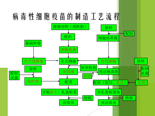 疫苗的制造流程与管理ppt课件