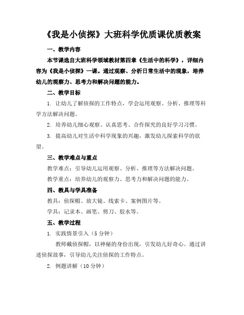 《我是小侦探》大班科学优质课优质教案