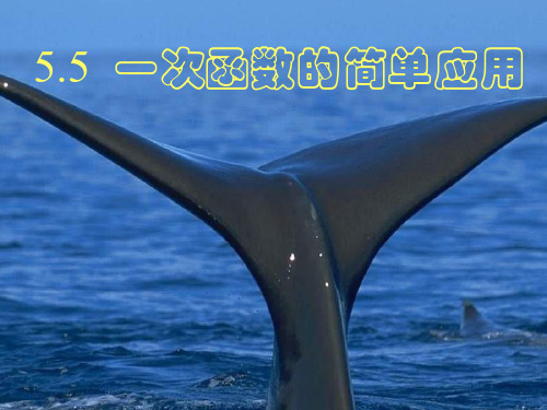 浙教版数学-八年级上册5.5一次函数的简单应用 参考课件
