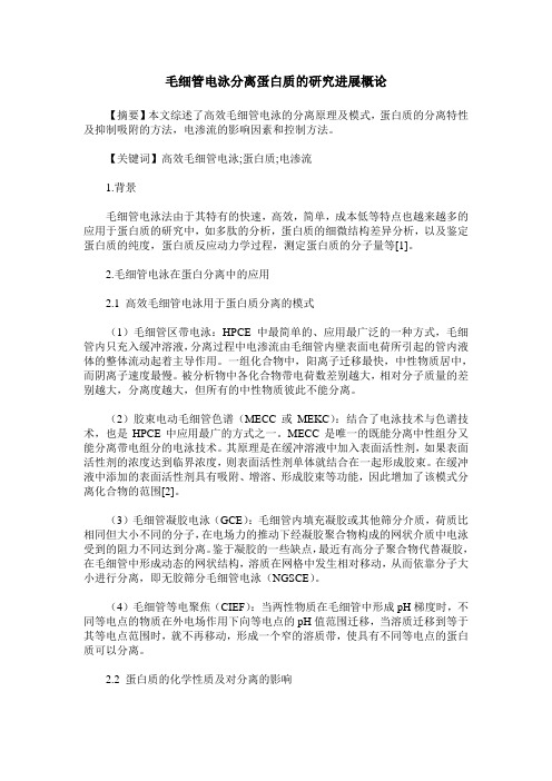 毛细管电泳分离蛋白质的研究进展概论