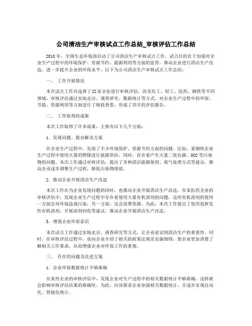 公司清洁生产审核试点工作总结_审核评估工作总结