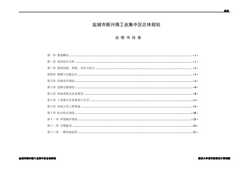 (完整版)新兴镇工业集中区建设规划说明