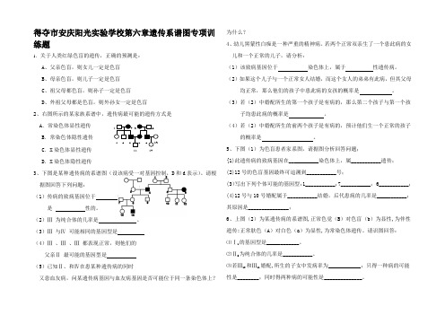 高二生物第六章遗传系谱图专项训练