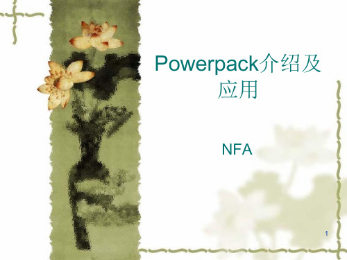 POWERPACK介绍及应用资料课件