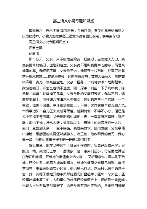 高三语文小说专题知识点