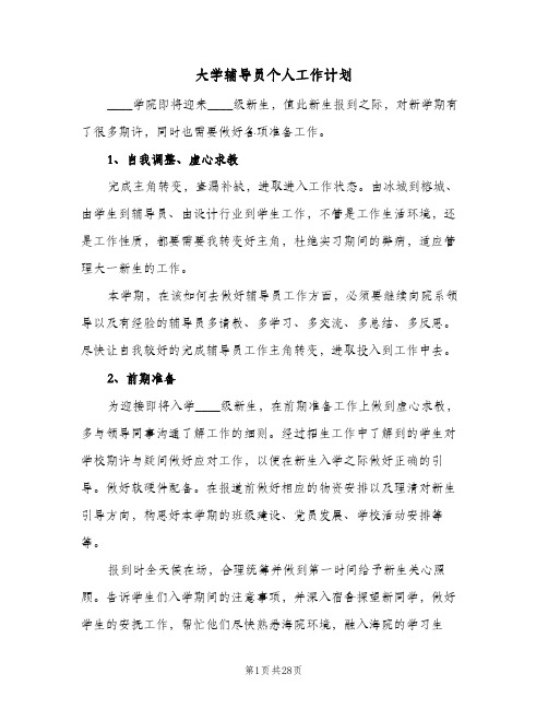 大学辅导员个人工作计划(七篇)