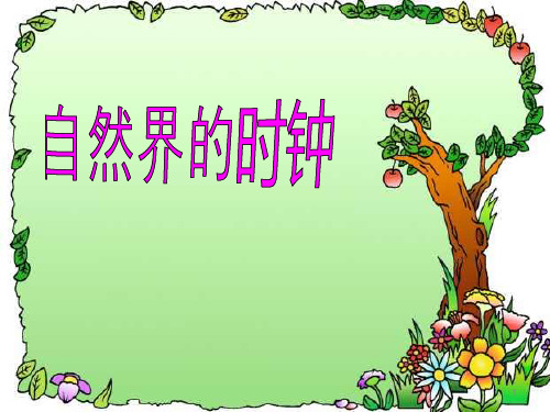 (长春版)三年级语文下册第十单元《自然界的时钟》课件(共17张PPT)