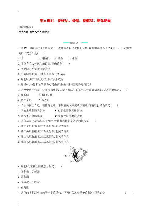 北师大版生物八年级上册15.2动物运动的形成第2课时课后习题