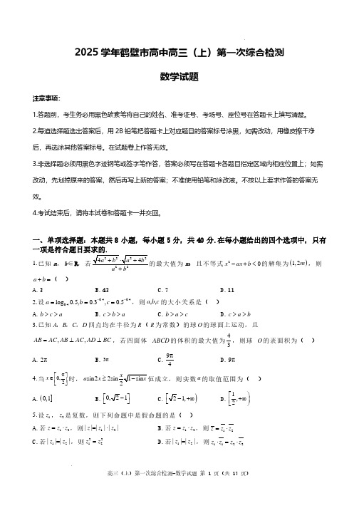 河南鹤壁高中2025届高三上学期第一次综合检测(7月)数学试题+答案