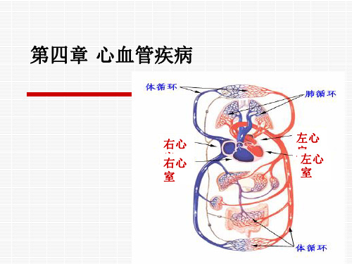 第四章 心血管疾病