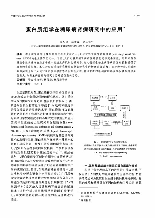 蛋白质组学在糖尿病肾病研究中的应用