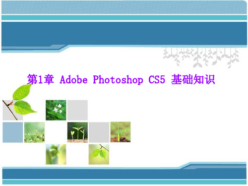 Adobe Photoshop CS5 基础知识