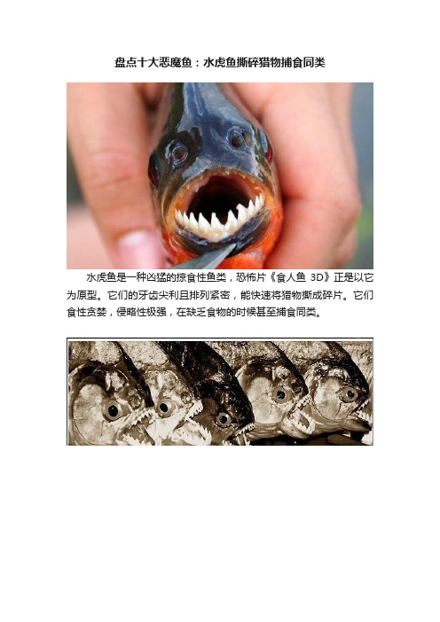 盘点十大恶魔鱼：水虎鱼撕碎猎物捕食同类