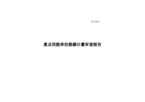 重点用能单位能源计量审查报告