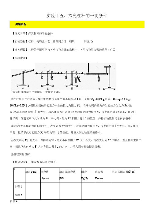 实验15 探究杠杆的平衡条件实验(解析版)