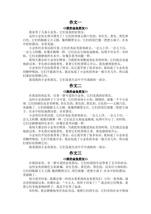 我的金鱼朋友的作文400字