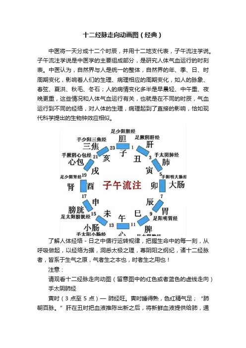 十二经脉走向动画图（经典）